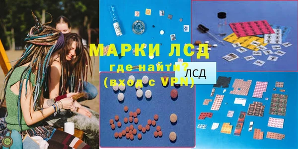 прущие грибы Гатчина