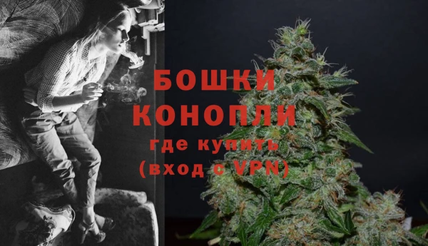 соль ск Няндома