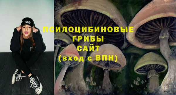круглые Гвардейск