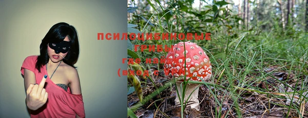 эйфоретик Нягань