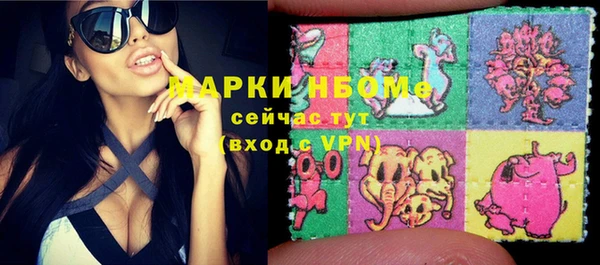 соль ск Няндома