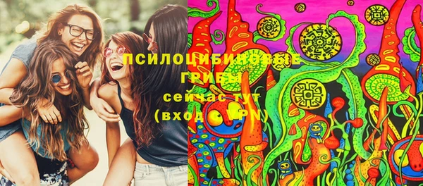 гидра Нязепетровск