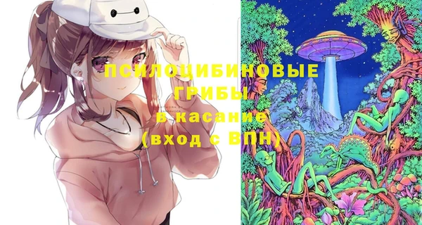 гидра Нязепетровск