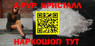 индика Новодвинск