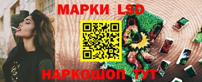 индика Новодвинск