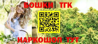 стаф Новозыбков