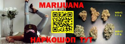 индика Новодвинск