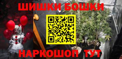 индика Новодвинск