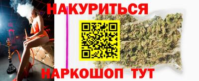индика Новодвинск