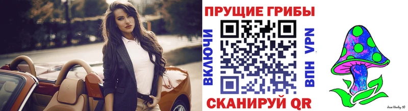 Псилоцибиновые грибы ЛСД  наркотики  Кондопога 