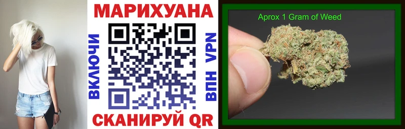 купить закладку Кондопога МАРИХУАНА семена